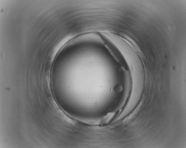 X0000065260812200602242113