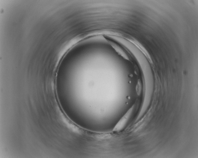 X0000065260813200602242113