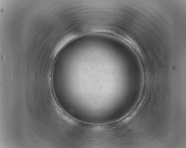 X0000065260814200602242113