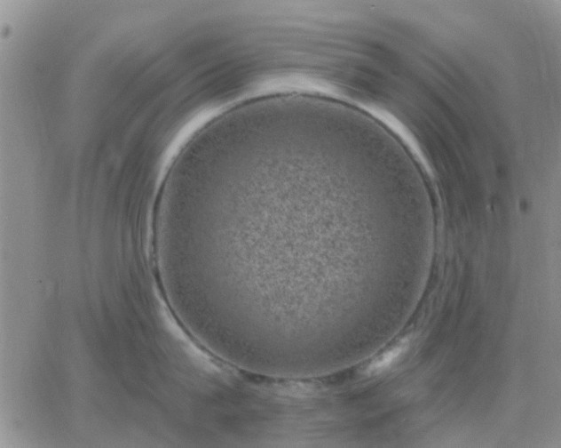 X0000065260815200602242113