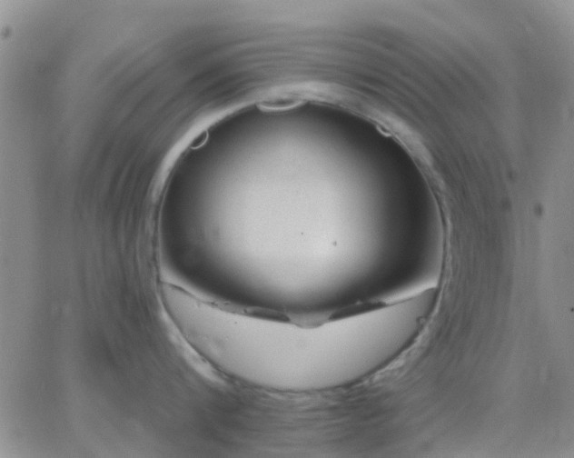 X0000065260816200602242113