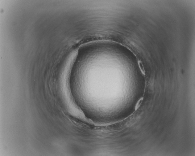 X0000065260817200602242112