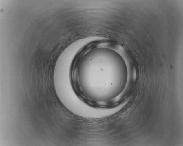 X0000065260818200602242112