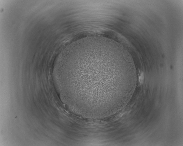 X0000065260819200602242112