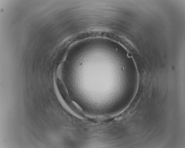 X0000065260821200602242112