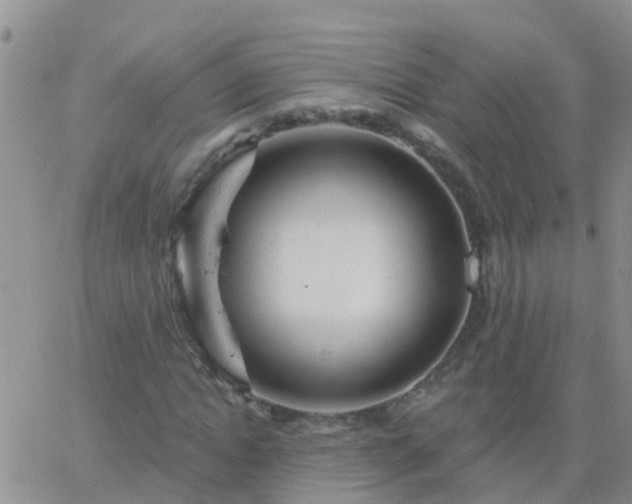 X0000065260822200602242112