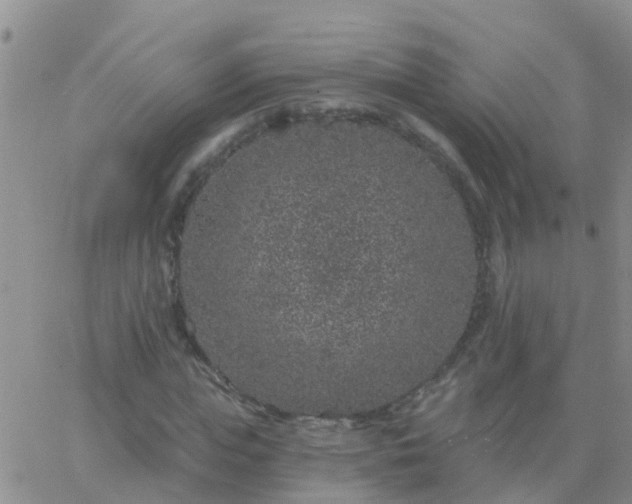 X0000065260823200602242112