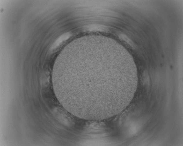 X0000065260824200602242112