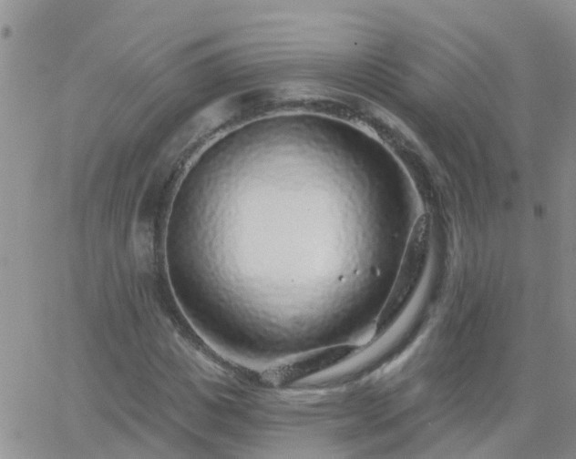 X0000065260825200602242112