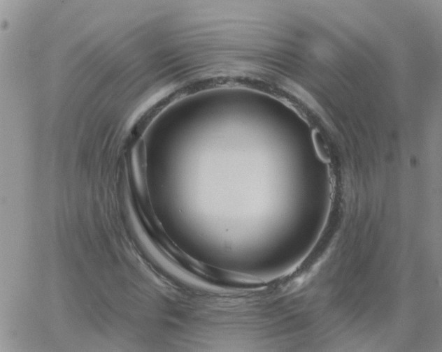 X0000065260826200602242112