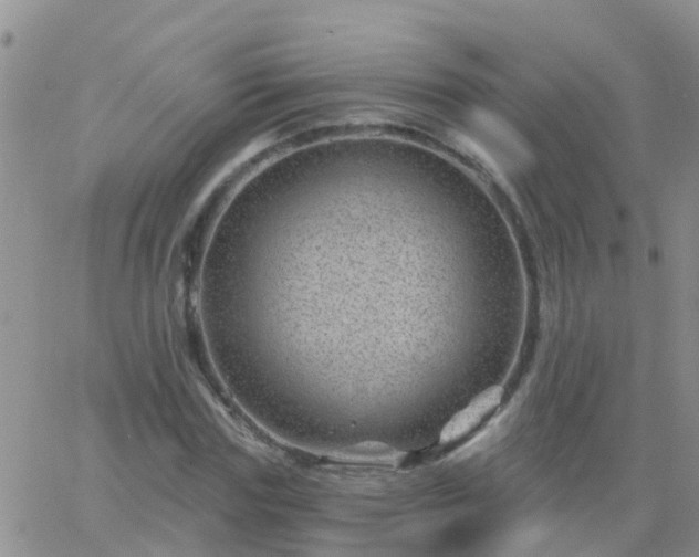 X0000065260827200602242112