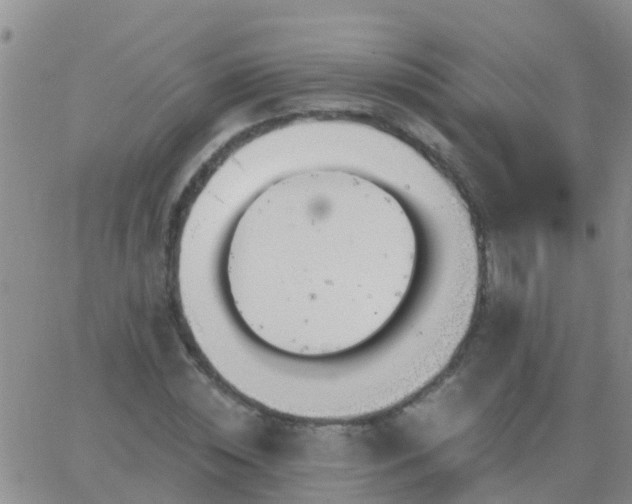 X0000065260828200602242112