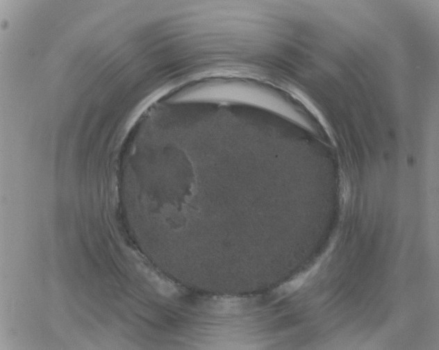 X0000065260829200602242112