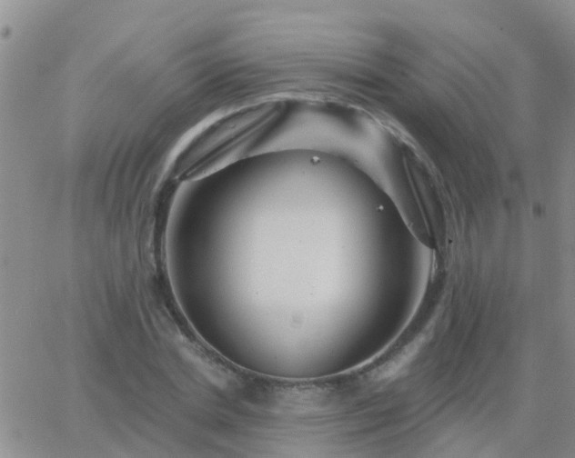 X0000065260830200602242112