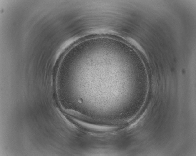 X0000065260831200602242113