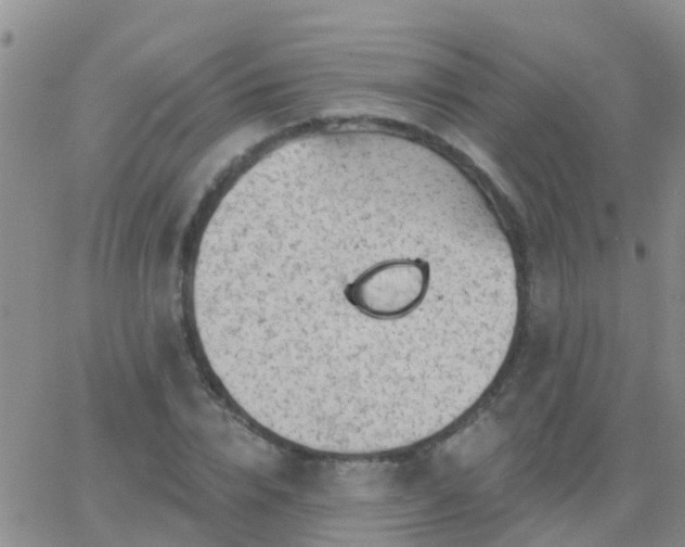 X0000065260832200602242113