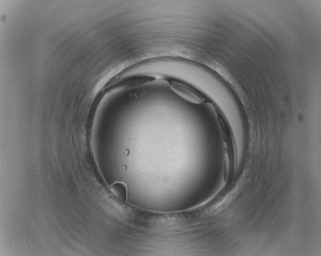 X0000065260834200602242113