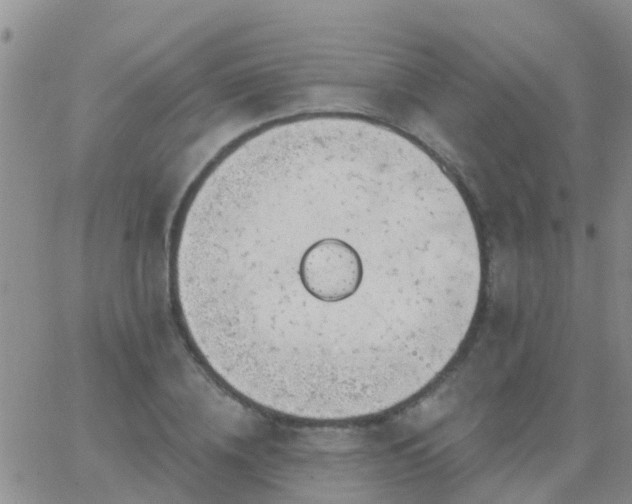 X0000065260836200602242113