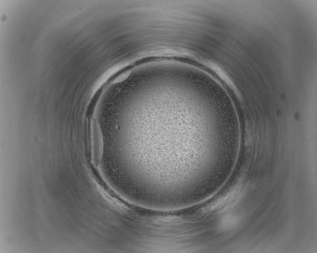 X0000065260837200602242113