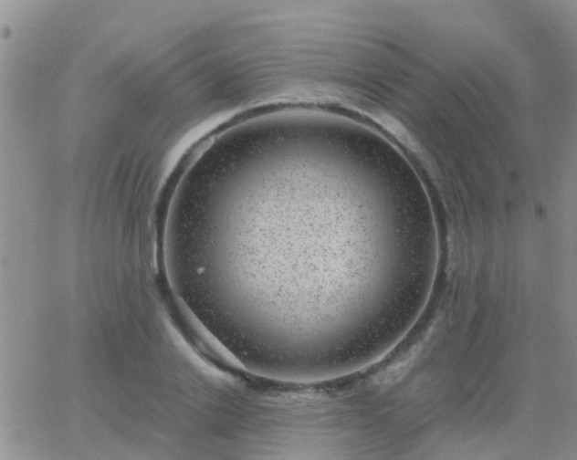 X0000065260838200602242113