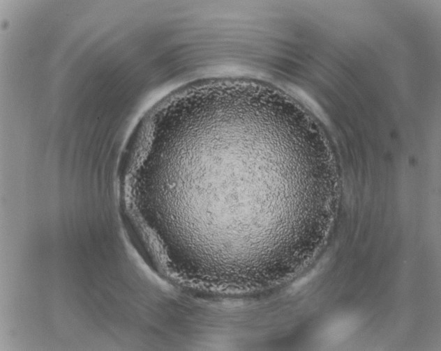 X0000065260839200602242113