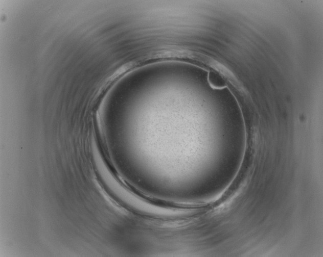 X0000065260841200602242113