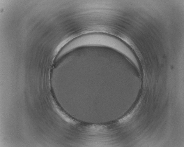 X0000065260842200602242113