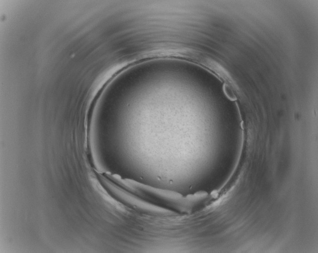 X0000065260844200602242113