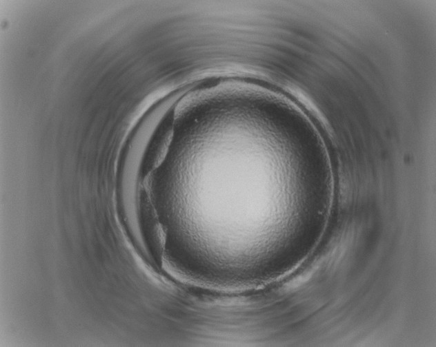 X0000065260845200602242113