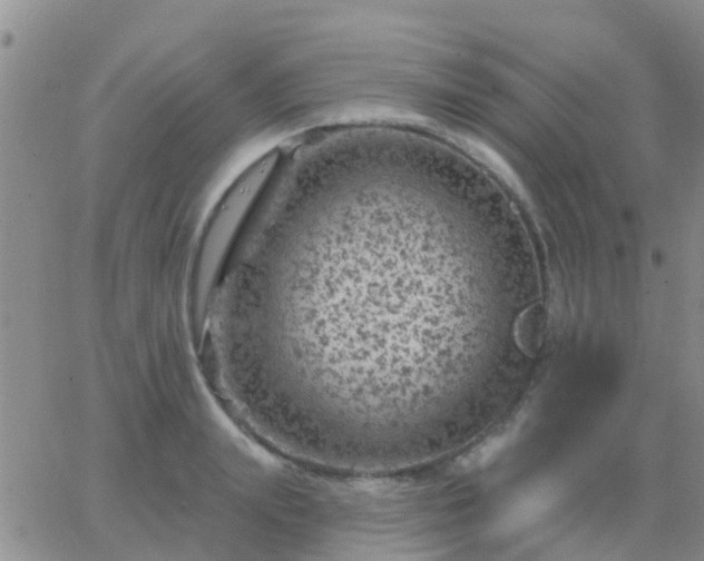 X0000065260847200602242113