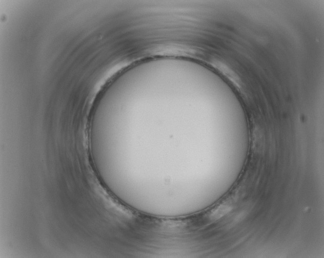 X0000065260848200602242113