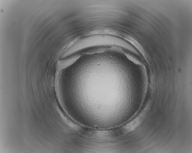 X0000065260849200602242113