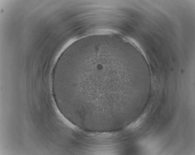 X0000065260851200602242113