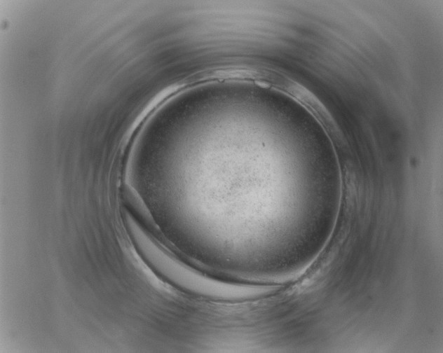 X0000065260852200602242113