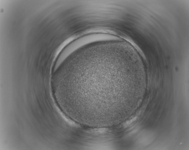 X0000065260853200602242113