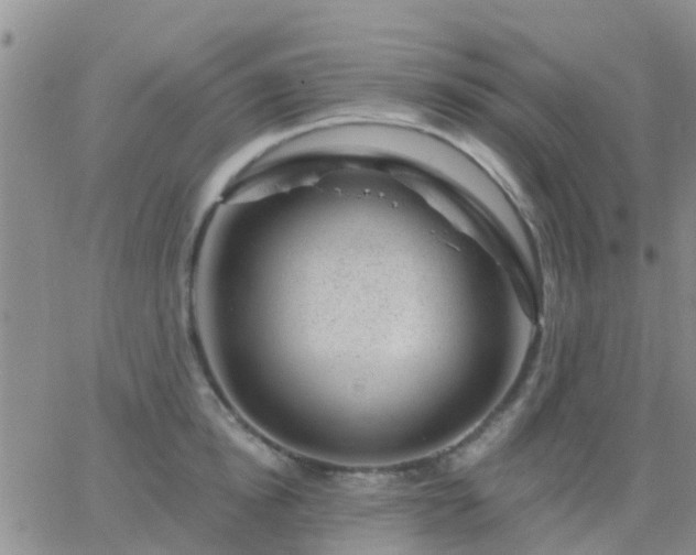 X0000065260854200602242113