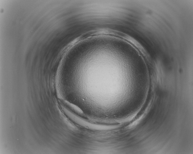 X0000065260857200602242113