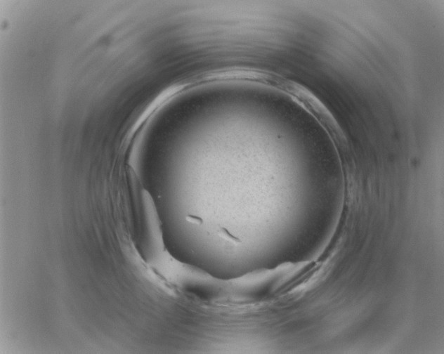 X0000065260860200602242113