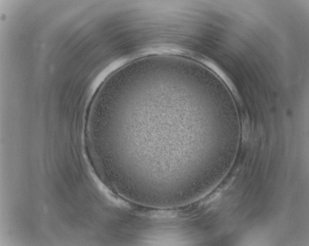 X0000065260861200602242113