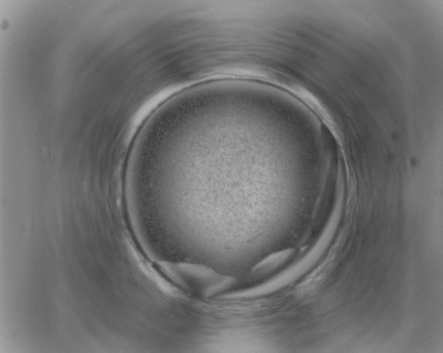 X0000065260862200602242113