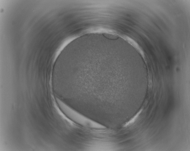 X0000065260863200602242113