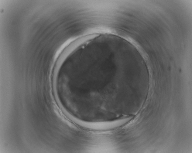 X0000065260864200602242113