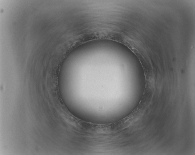 X0000065260865200602242112