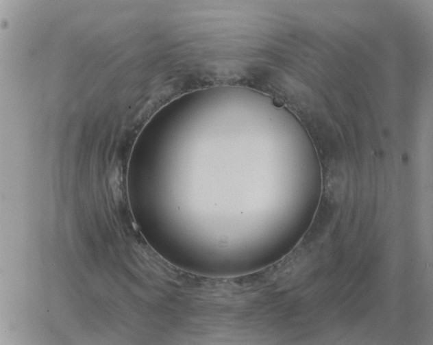 X0000065260866200602242112