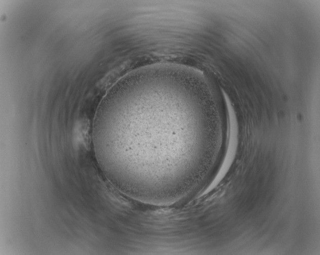 X0000065260867200602242112