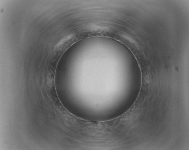 X0000065260869200602242112