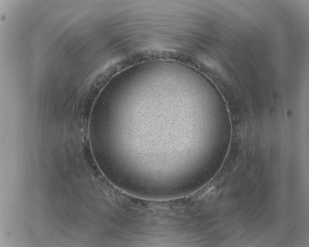 X0000065260870200602242112