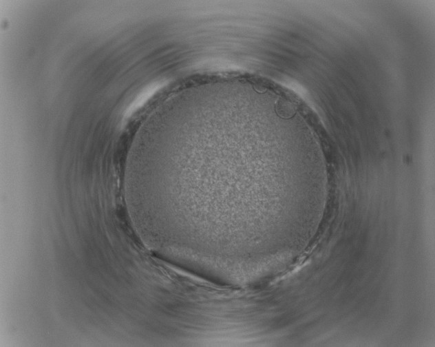 X0000065260871200602242112