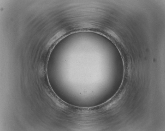 X0000065260873200602242112