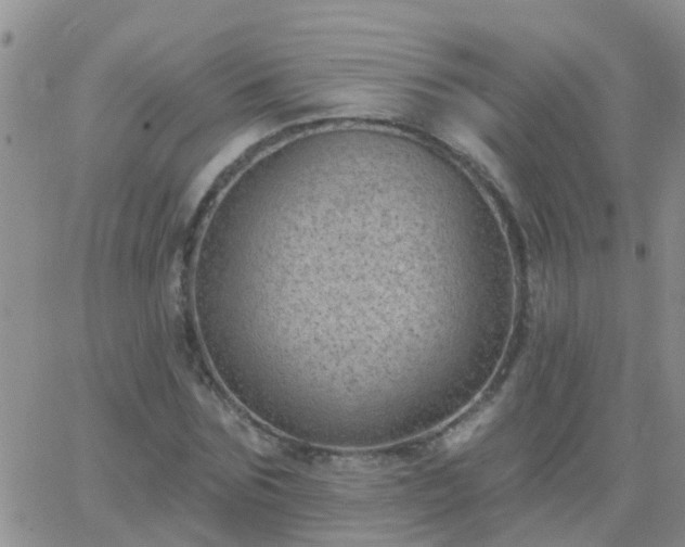 X0000065260875200602242112